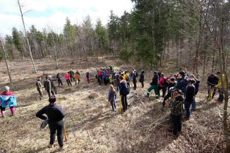 POGOZDOVANJE V RAKOVEM ŠKOCJANU 15 FOTO LJUBO VUKELIČ